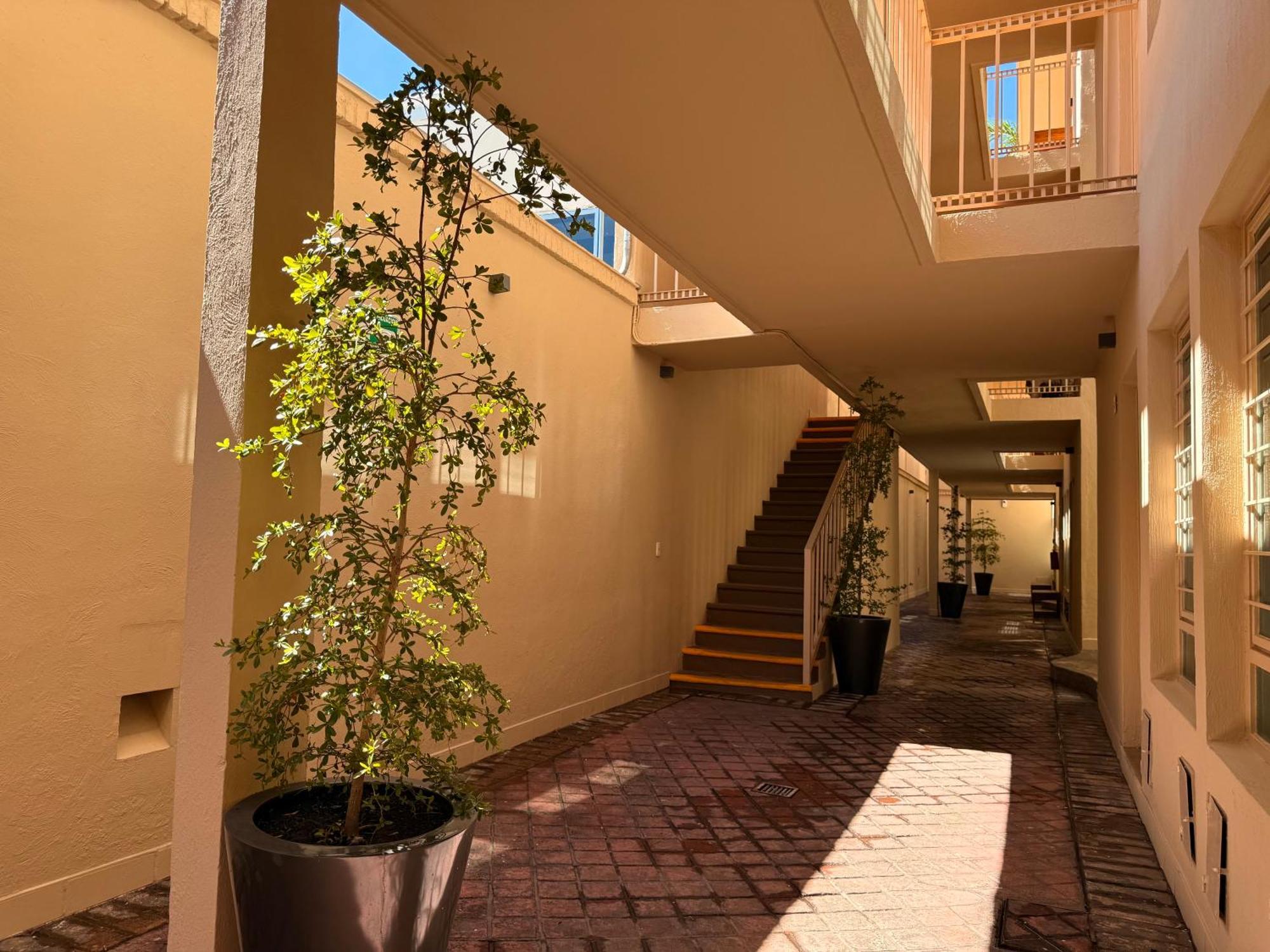 Villa La Palma Hotel Текила Екстериор снимка