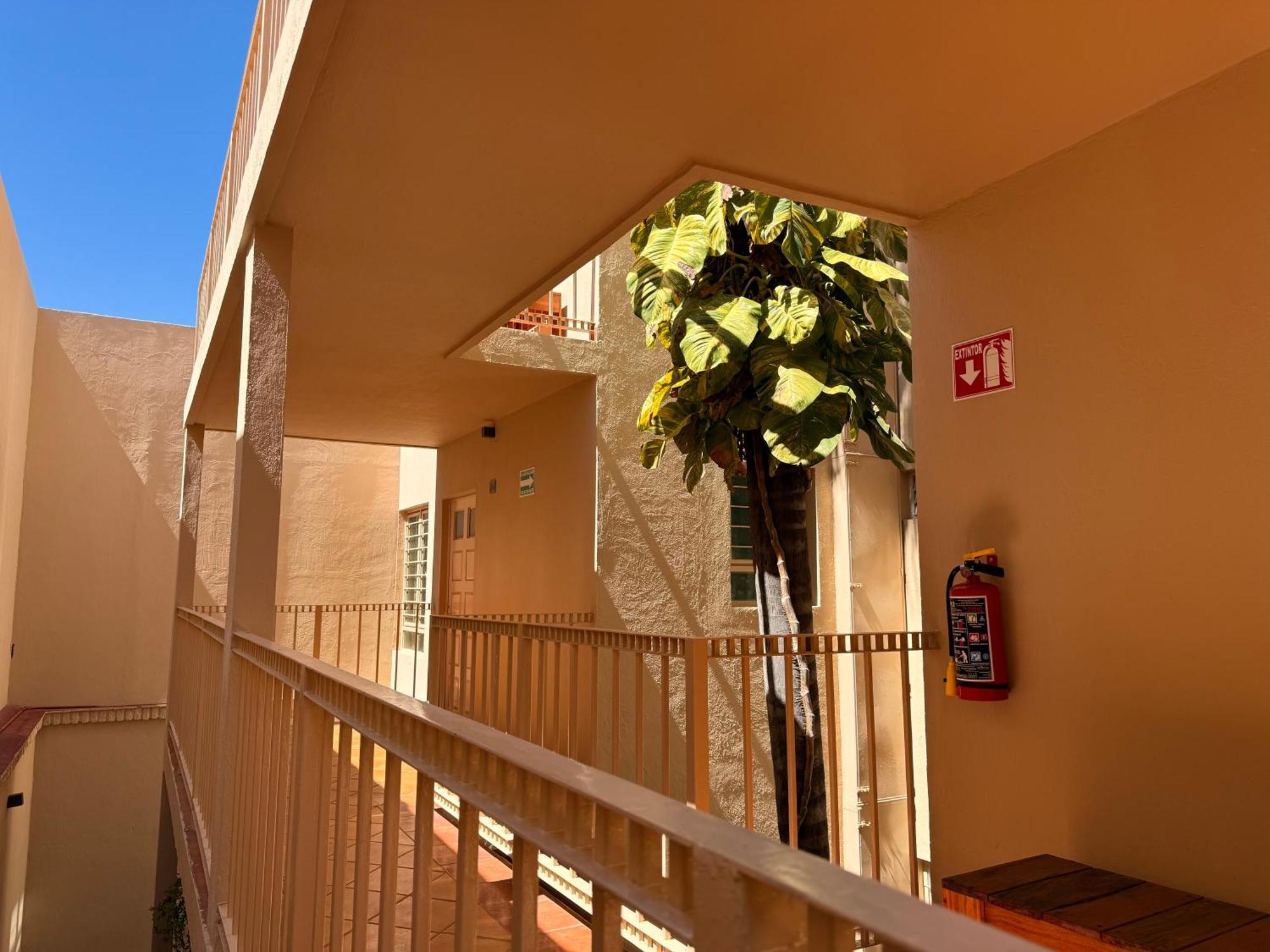 Villa La Palma Hotel Текила Екстериор снимка